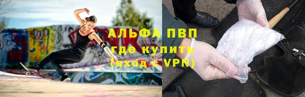 трава Аркадак