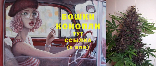 трава Аркадак